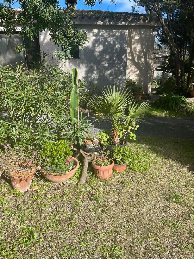 Appartamenti Su Pasiu Chia Exterior photo